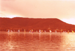 COM VA COMEN�AR ... EL SURF A VELA